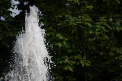 Wasser 