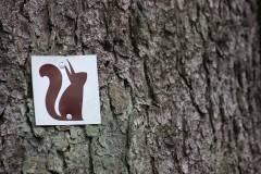 Wald 