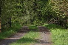Wald 