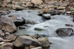 Wasser 