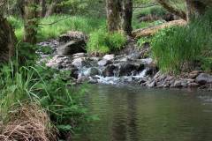 Wasser 