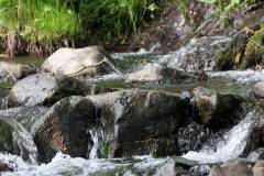Wasser 