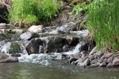 Wasser 