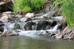 Wasser 