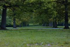 Wald 