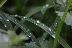 Wasser 