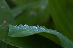 Wasser 