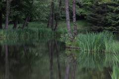 Wasser 