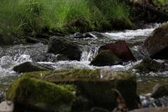 Wasser 