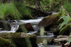 Wasser 