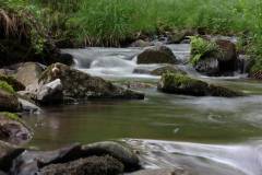 Wasser 