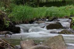Wasser 