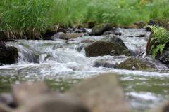 Wasser 