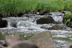Wasser 