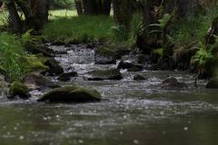 Wasser 