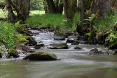 Wasser 