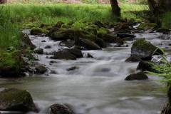 Wasser 