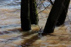 Wasser 