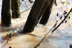 Wasser 