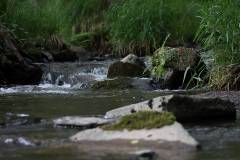 Wasser 
