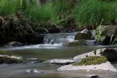 Wasser 