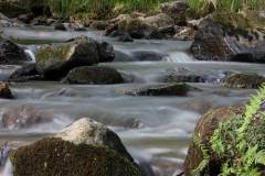 Wasser 