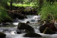 Wasser 