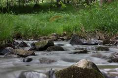 Wasser 