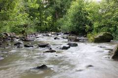 Wasser 