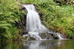 Wasser 