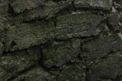 Ruinen/Burgen 