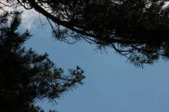 Himmel 
