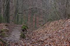 Wald 