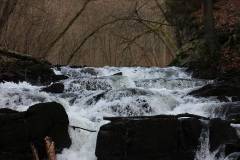 Wasser 