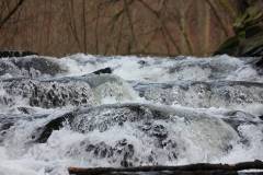 Wasser 
