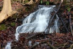 Wasser 
