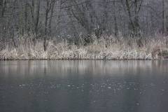 Wasser 
