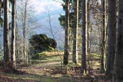 Landschaft 