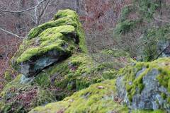 Landschaft 