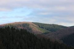 Landschaft 