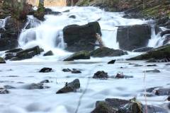 Wasser 