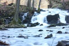 Wasser 