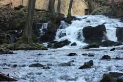 Wasser 