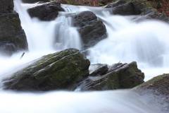 Wasser 