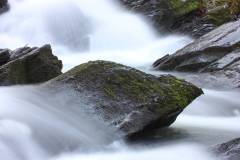 Wasser 