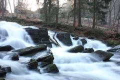 Wasser 