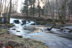 Wasser 