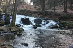 Wasser 