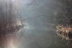 Nebel 