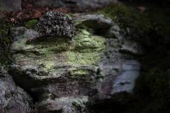 Landschaft 